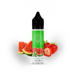 Terra Di Aloe Attrativa